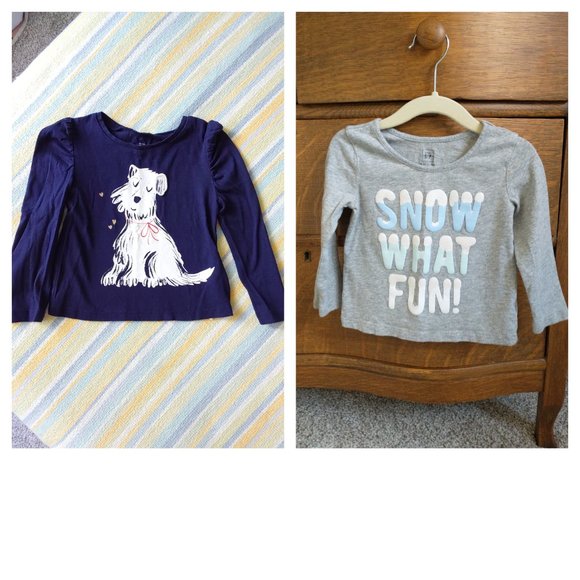 GAP Other - ⭐ Lot of 2 Toddler Girl GAP long sleeve tops 18-24m